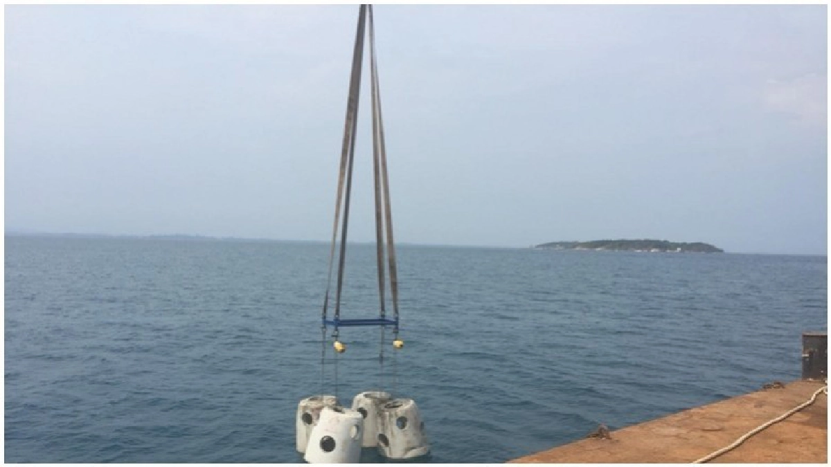 อินทรีปะการัง สร้างสรรค์อย่างยั่งยืน