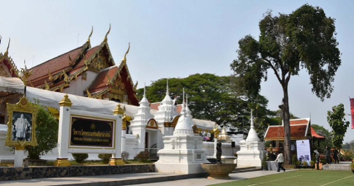 พบต้นมะปรางป่าอายุ 150 ปี สมัย ร.5 ยังออกลูก