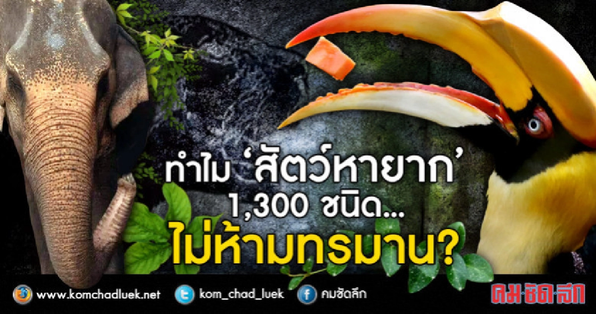 ทำไม “สัตว์หายาก” 1,300 ชนิด ..ไม่ห้ามทรมาน?