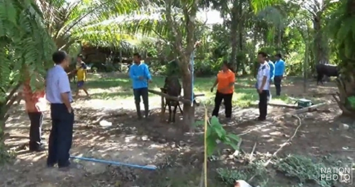 'ตรัง'ประกาศ 4 อำเภอควบคุมพิษสุนัขบ้า