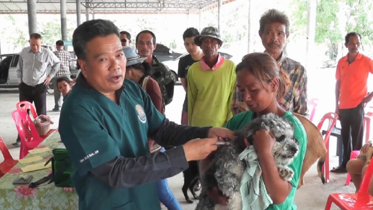ปศุสัตว์สระแก้ว ระดมอาสาสมัครฯลุยฉีดวัคซีนพิษสุนัขบ้า ปศุสัตว์สระแก้ว ระดมอาสาสมัครฯลุยฉีดวัคซีนพิษสุนัขบ้า
