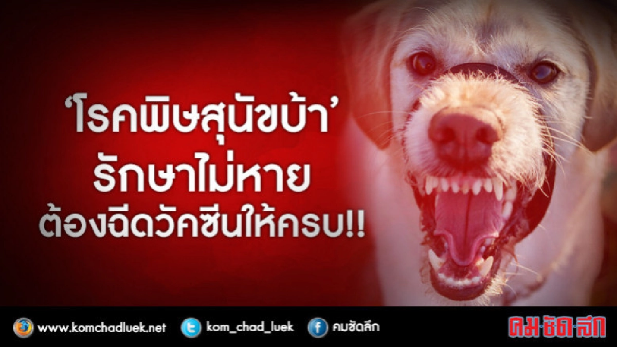 อย่าเข้าใจผิด !! โรคพิษสุนัขบ้ารักษาไม่หาย อย่าเข้าใจผิด !! โรคพิษสุนัขบ้ารักษาไม่หาย