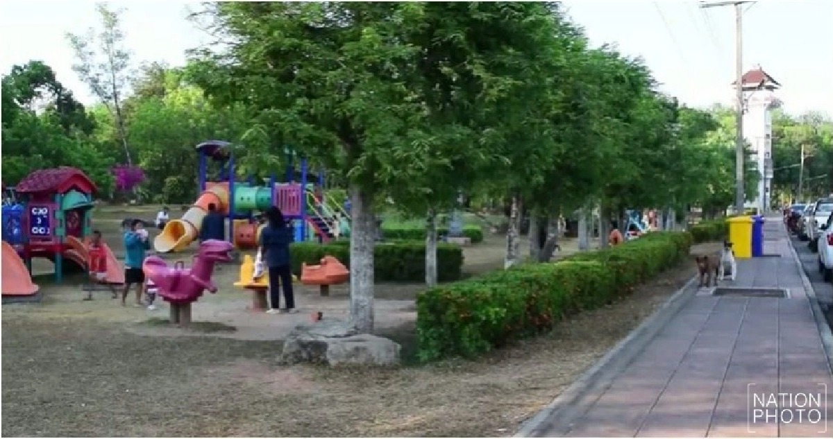 ตรังผวาสุนัขจรจัด!! หวั่นรับเชื้อพิษสุนัขบ้า