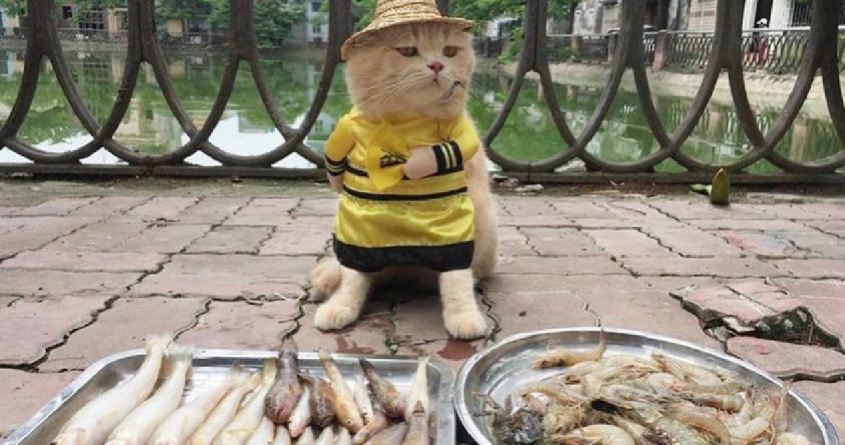 “พ่อค้า”สุดฮอตในตลาดปลาที่เวียดนาม 