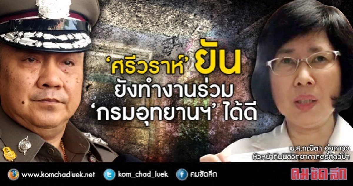 “ศรีวราห์” ปัดเกาเหลา กรมอุทยานฯ เชื่อสรุปสำนวนทัน 24 มี.ค.