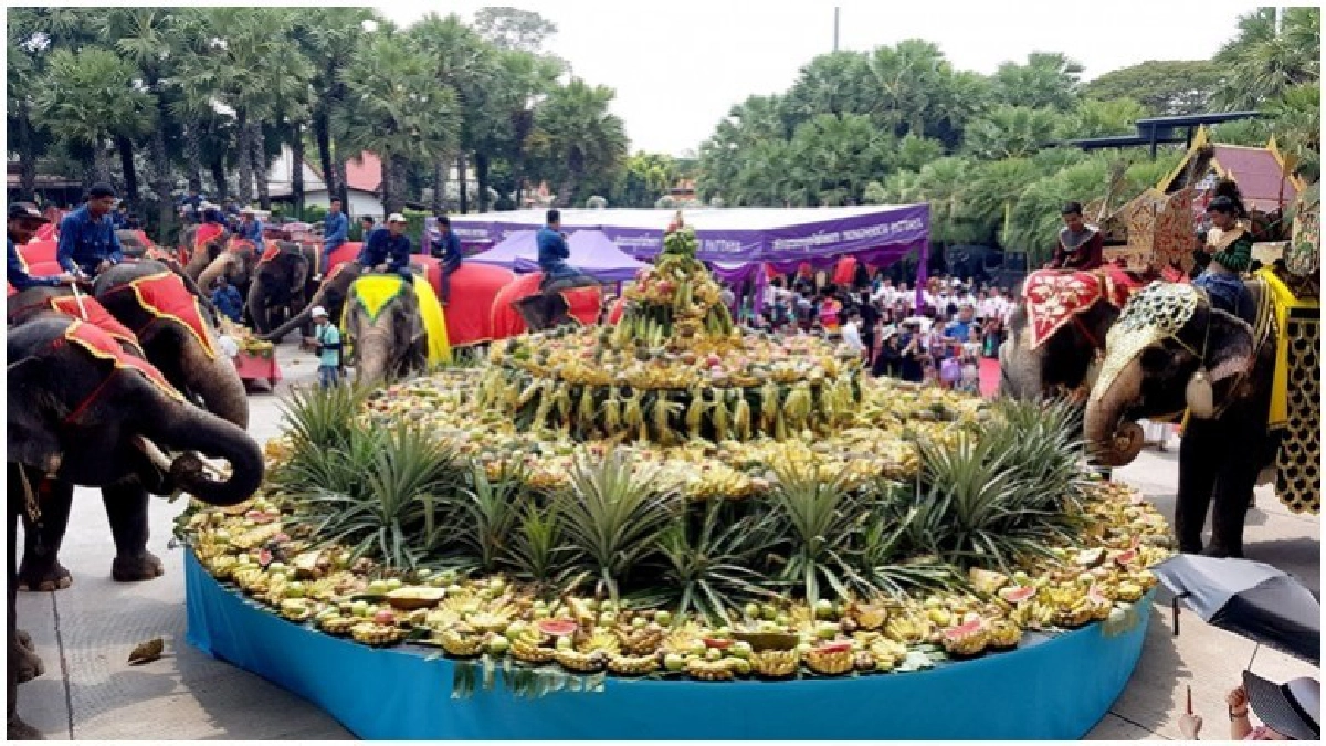 "สวนนงนุช"เฉลิมฉลองวันช้างไทยยิ่งใหญ่ "สวนนงนุช"เฉลิมฉลองวันช้างไทยยิ่งใหญ่