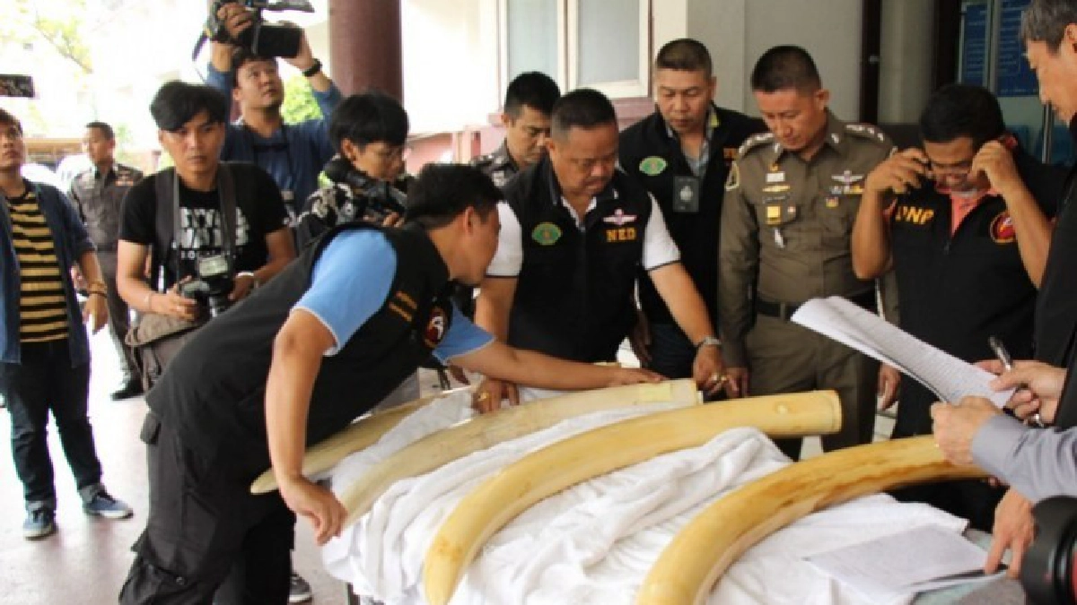  ผู้การฯ ปทส. ยืนยัน “เปรมชัย” เข้ารับทราบข้อกล่าวหาพรุ่งนี้