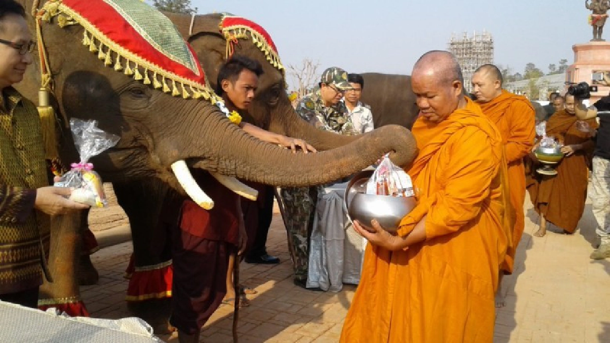 เชิดชู"ช้าง"ปกป้องกอบกู้บ้านเมือง เชิดชู"ช้าง"ปกป้องกอบกู้บ้านเมือง