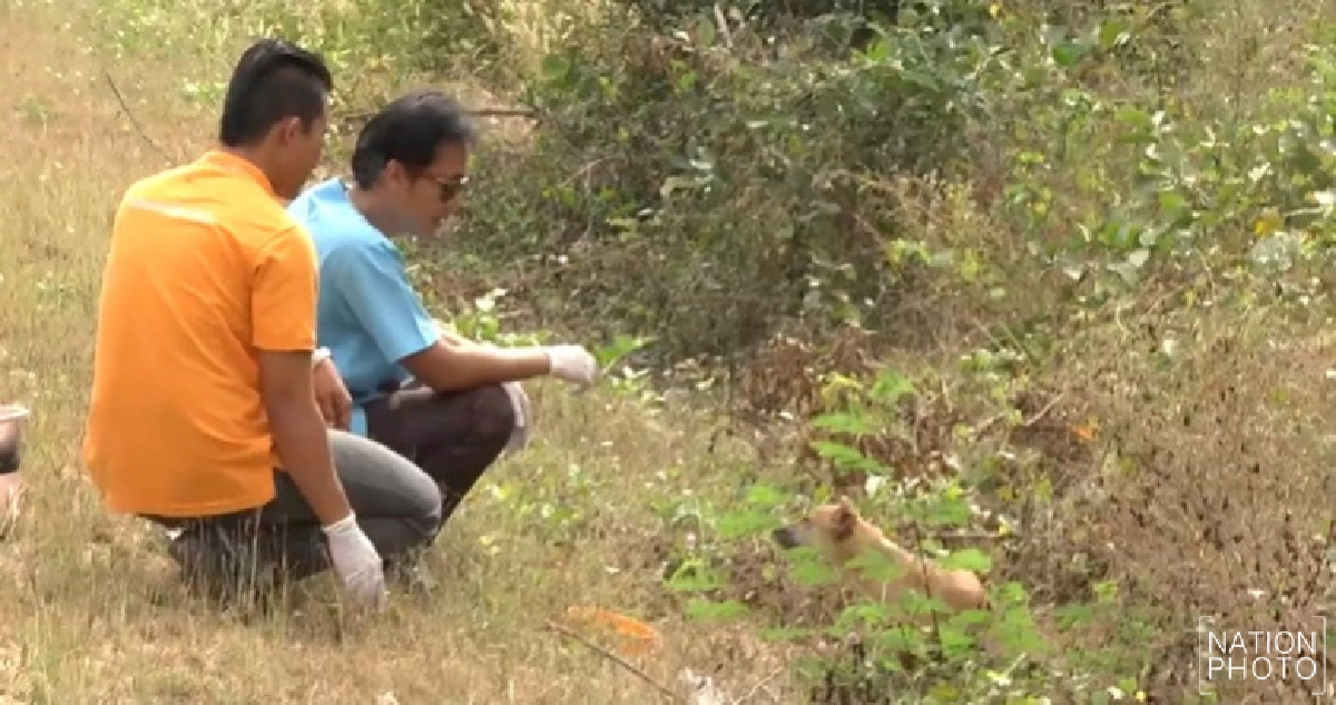'มหาสารคาม'ปูพรมคุมพิษสุนัขบ้า 30 ชุมชน 'มหาสารคาม'ปูพรมคุมพิษสุนัขบ้า 30 ชุมชน
