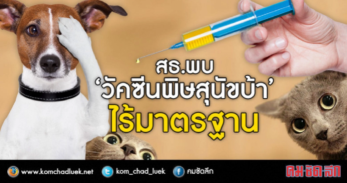 สธ.พบ“วัคซีนพิษสุนัขบ้า”ไร้มาตรฐาน