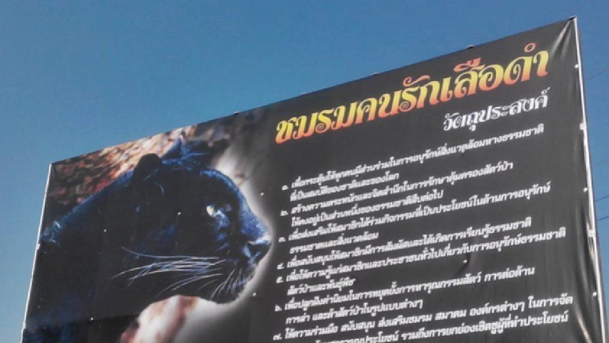 คนรักเสือดำฯ ปลุกจิตสำนึกรักษ์สัตว์ป่า เสือดำต้องไม่ตายฟรี