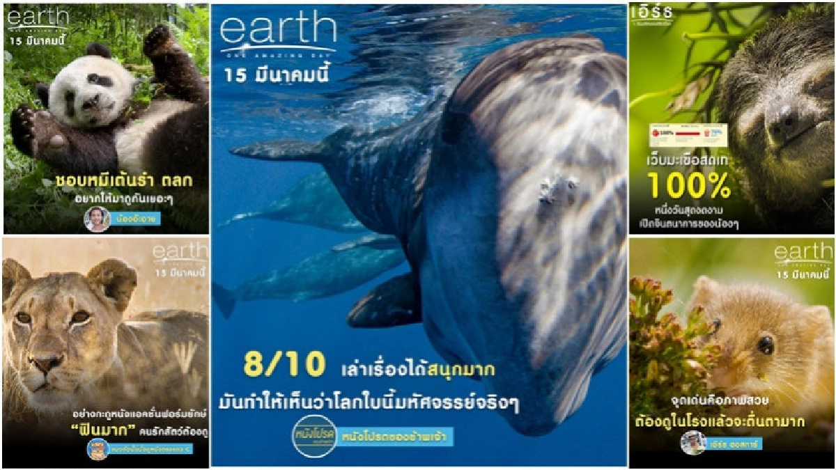 'earth : One Amazing Day' โดนใจทุกเพศทุกวัย 'earth : One Amazing Day' โดนใจทุกเพศทุกวัย