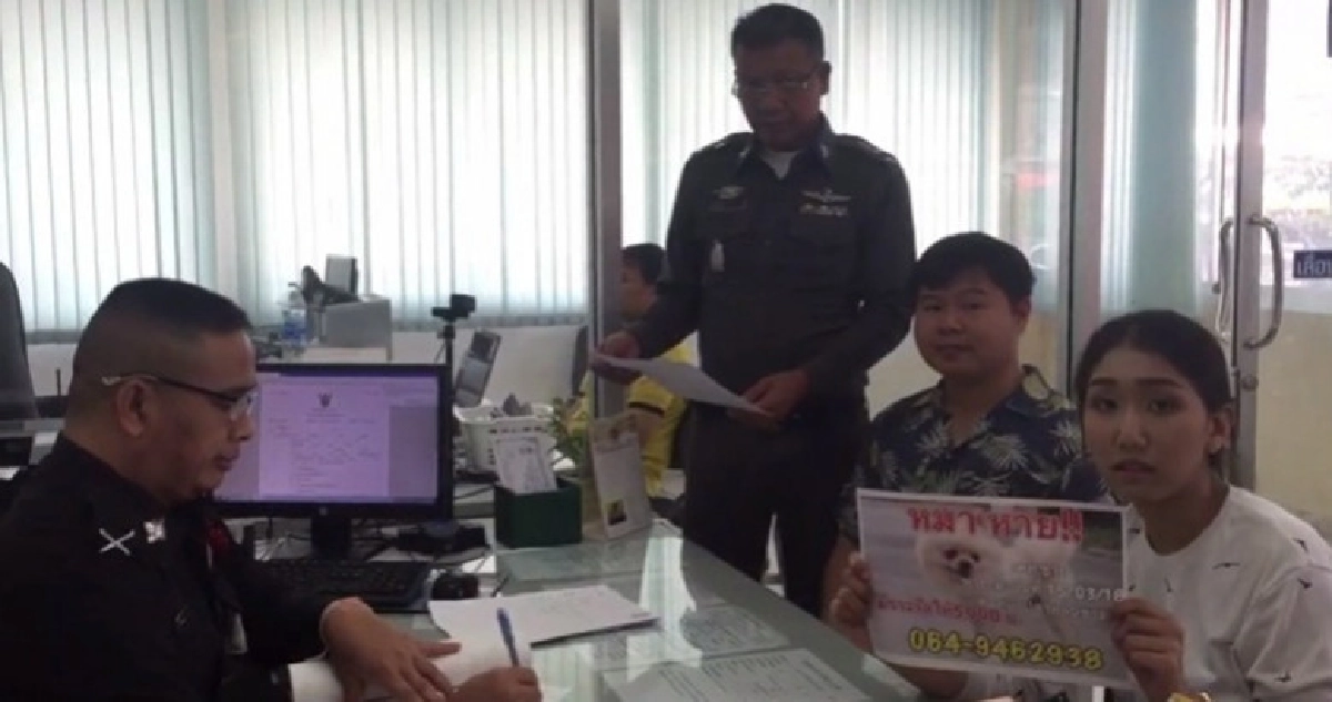 ใครพบปอมหายสาวให้ 5 พัน