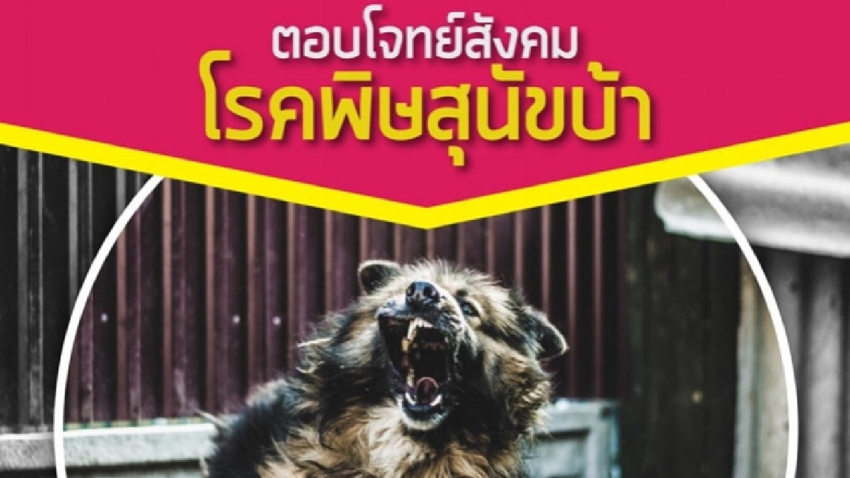 ไขทุกข้อข้องใจ โรคภัยมาแรงช่วงหน้าร้อน "พิษสุนัขบ้า"