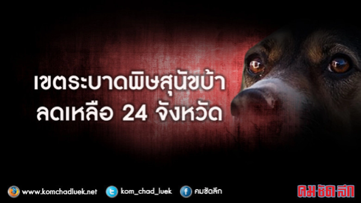 เขตระบาดพิษสุนัขบ้าลดลงเหลือ 24 จังหวัด  