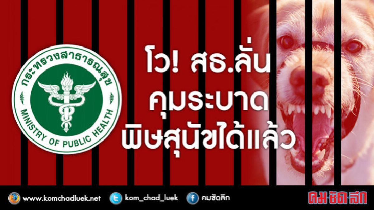 โว ! สธ.ลั่นคุมระบาดพิษสุนัขได้แล้ว โว ! สธ.ลั่นคุมระบาดพิษสุนัขได้แล้ว