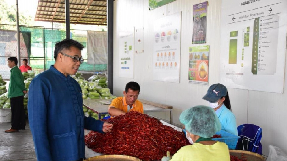  ทุ่มพันล้าน สร้างอาชีพเพิ่มรายได้ให้สมาชิกสหกรณ์ทั่วประเทศ