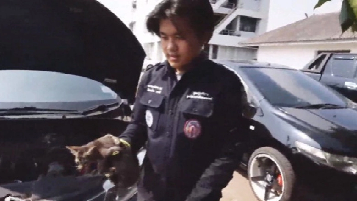 นาทีชีวิต !! กู้ภัยช่วยลูกแมวติดห้องเครื่องรถ