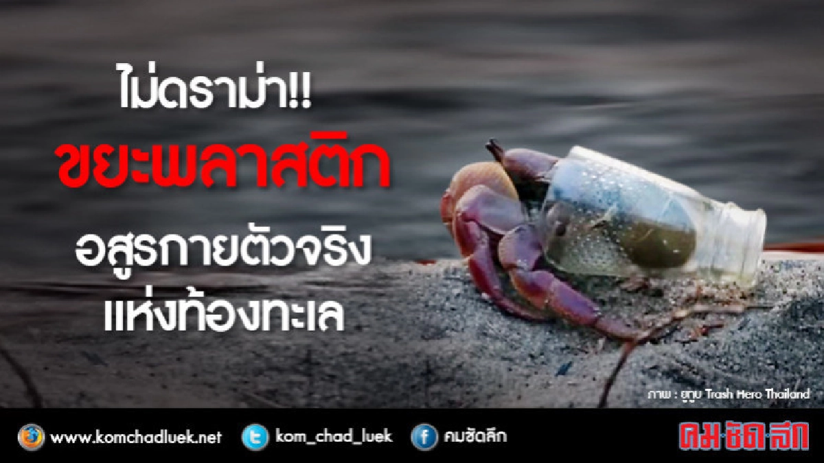 ไม่ดราม่า!! ขยะพลาสติก อสูรกายตัวจริงแห่งท้องทะเล ไม่ดราม่า!! ขยะพลาสติก อสูรกายตัวจริงแห่งท้องทะเล