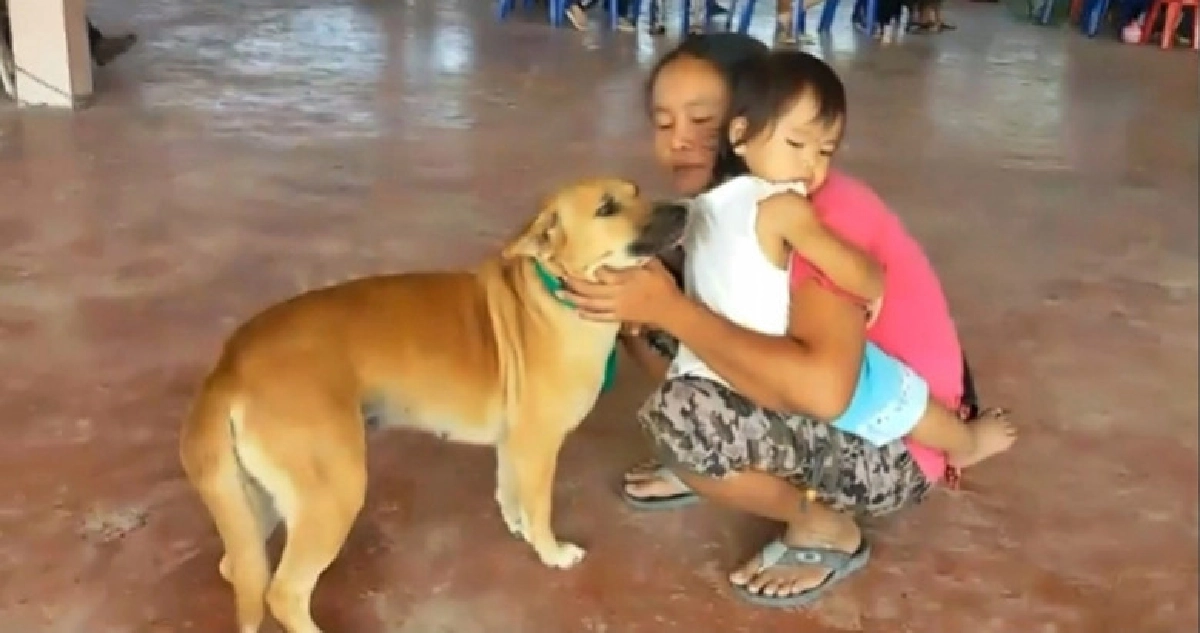 ปศุสัตว์กระบี่ฉีดวัคซีน 'หมา-แมว' ป้องกันพิษสุนัขบ้า !!
