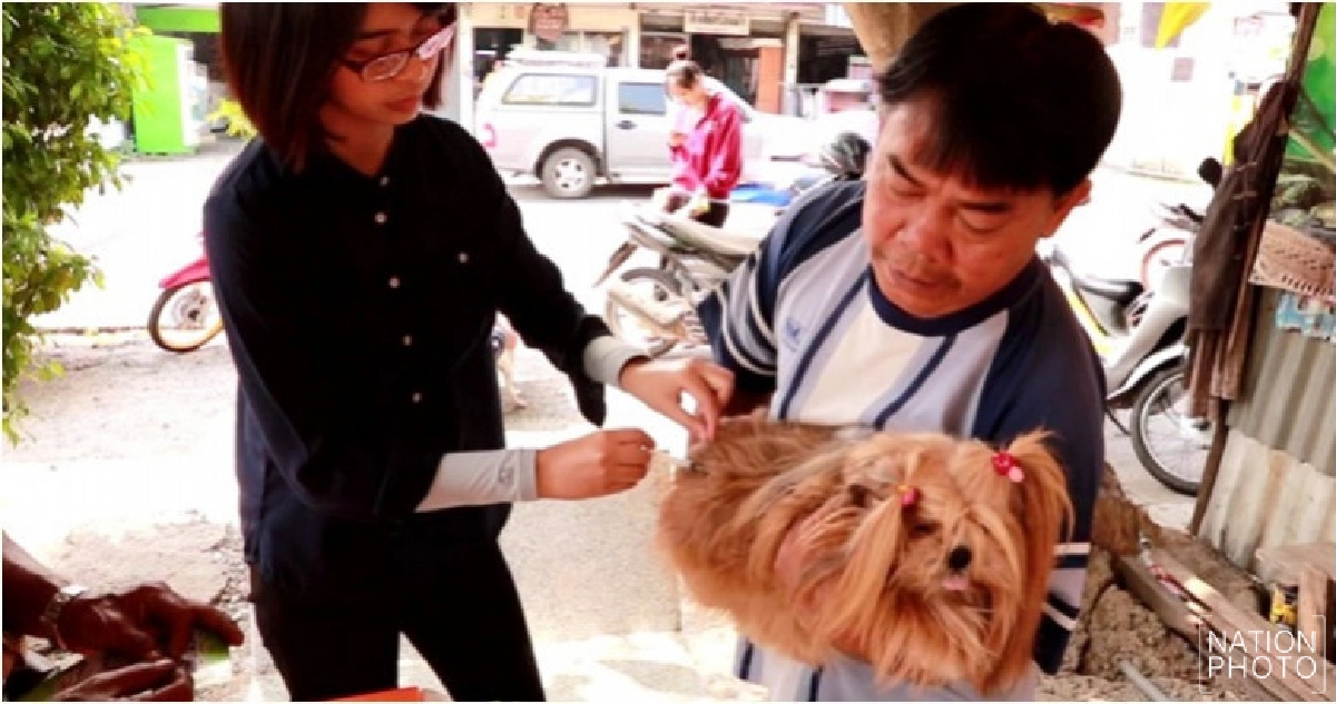 โคราชเข้ม!! พบเชื้อสุนัขบ้า 10 จุด ปูพรมฉีดวัคซีนหมา-แมว โคราชเข้ม!! พบเชื้อสุนัขบ้า 10 จุด ปูพรมฉีดวัคซีนหมา-แมว