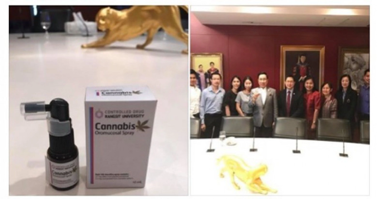เจ๋ง!! เภสัชฯ ม.รังสิต ผลิตยาพ่นกัญชารักษามะเร็ง