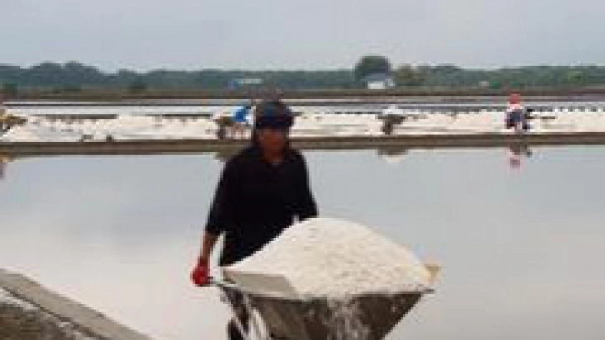 ตะลุยนาเกลือ 3 จังหวัด ตะลุยนาเกลือ 3 จังหวัด