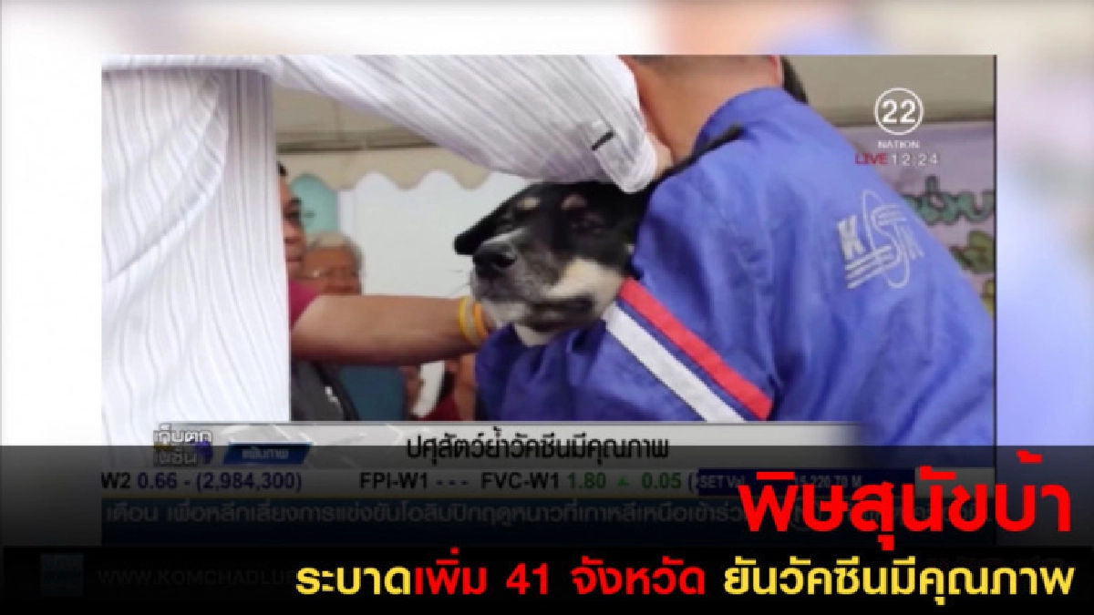 พิษสุนัขบ้า ระบาดเพิ่ม 41 จังหวัด พิษสุนัขบ้า ระบาดเพิ่ม 41 จังหวัด