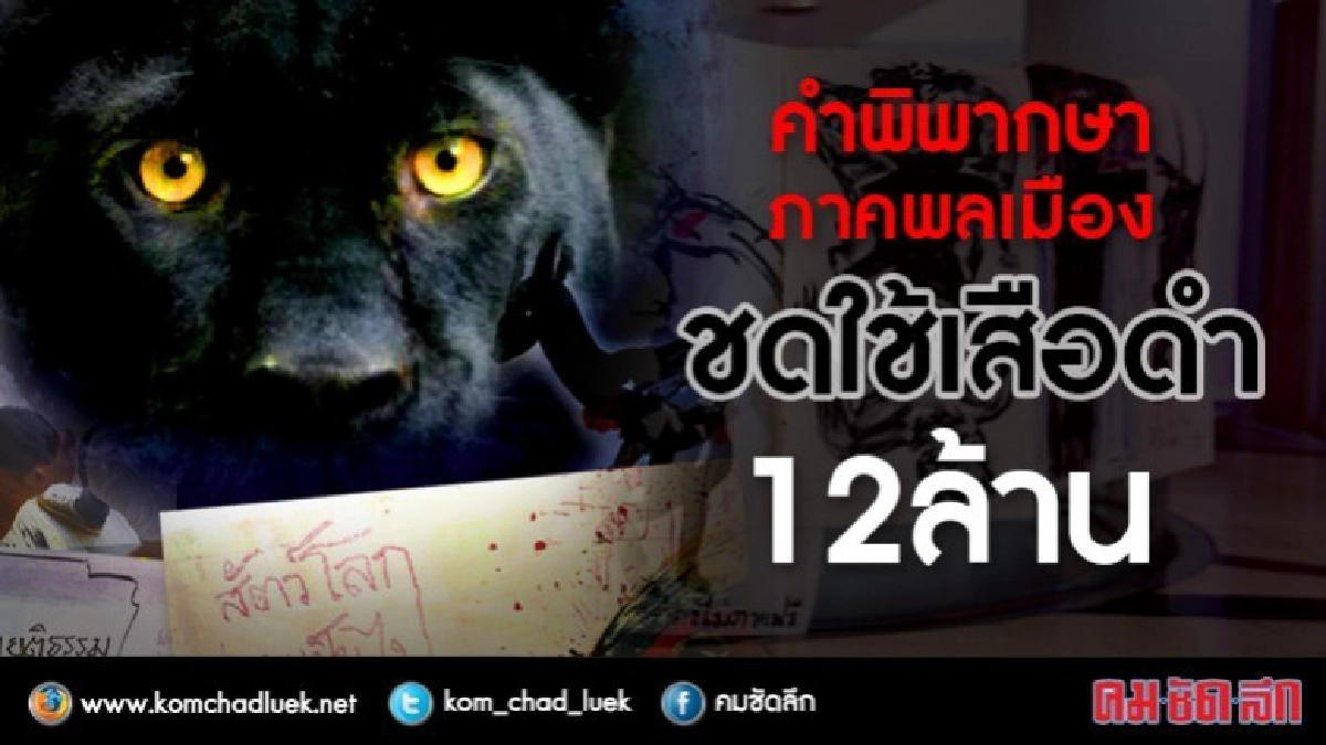 "คำพิพากษาภาคพลเมือง"...ชดใช้เสือดำ 12 ล้าน "คำพิพากษาภาคพลเมือง"...ชดใช้เสือดำ 12 ล้าน