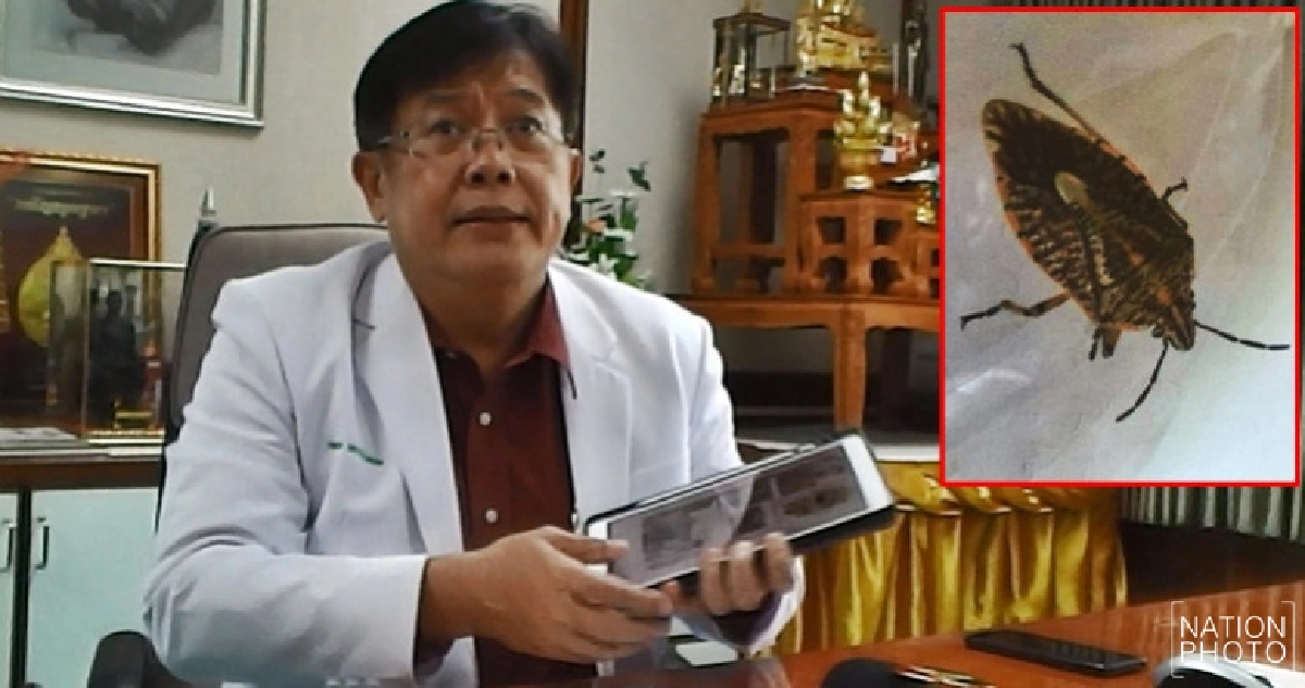 รพ.แม่สอดแจง 2 คนไทยกินแมลงมวนดับ !!