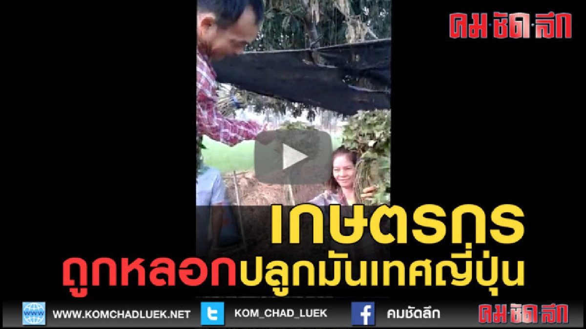 (คลิปข่าว) เกษตรกรถูกหลอกปลูกมันเทศญี่ปุ่น