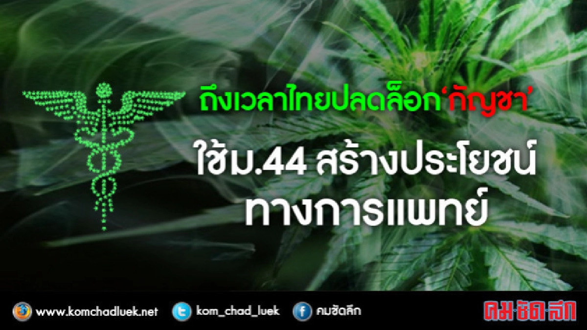 ถึงเวลาไทยปลดล็อก"กัญชา"ใช้ม.44สร้างประโยชน์ทางการแพทย์