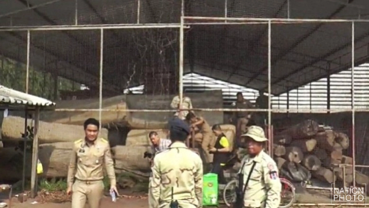 ยึดเพียบ !! ไม้หวงห้ามมูลค่ากว่า 100 ล้าน