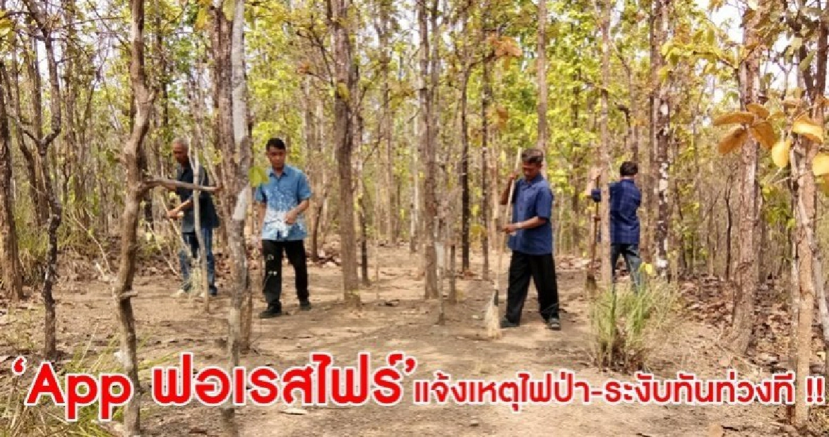 ใช้ "App ฟอเรสไฟร์" แจ้งเหตุเกิดไฟป่า