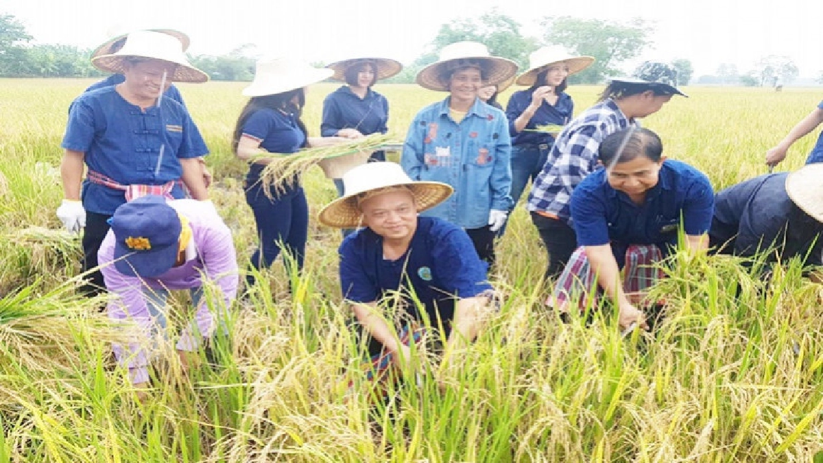 ย้ำ ! 17 ชลประทานทั่วประเทศสร้างประโยชน์ประชาชนยั่งยืน ย้ำ ! 17 ชลประทานทั่วประเทศสร้างประโยชน์ประชาชนยั่งยืน