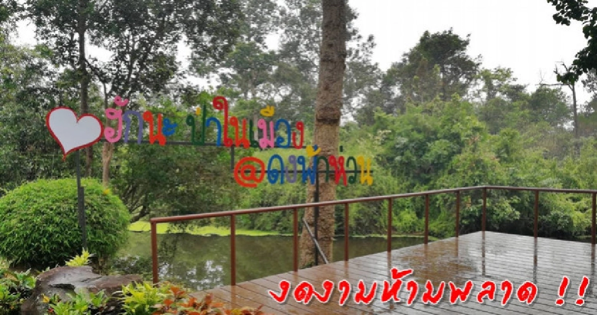 ชวนเที่ยวป่าในเมือง @ ดงฟ้าห่วน