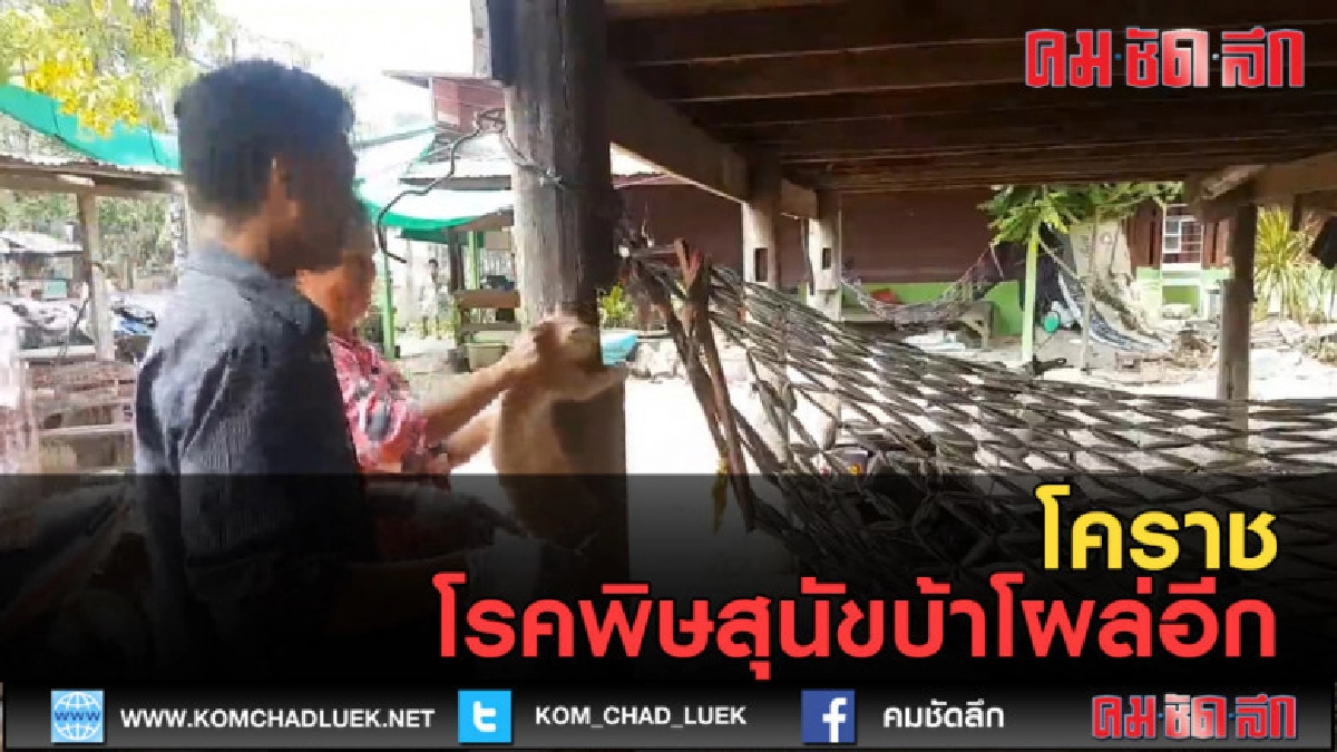 (คลิปข่าว) สุนัขเสียชีวิตโรคพิษสุนัขบ้าโผล่อีก