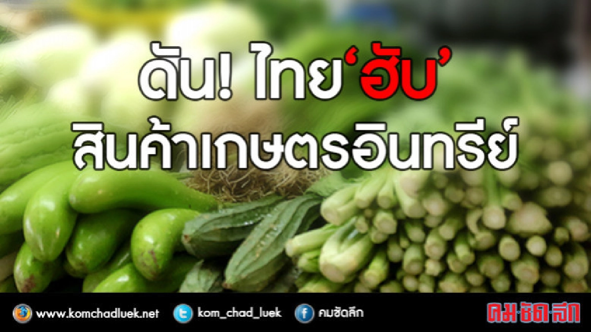 ดัน ! ไทย"ฮับ"สินค้าเกษตรอินทรีย์ ดัน ! ไทย"ฮับ"สินค้าเกษตรอินทรีย์
