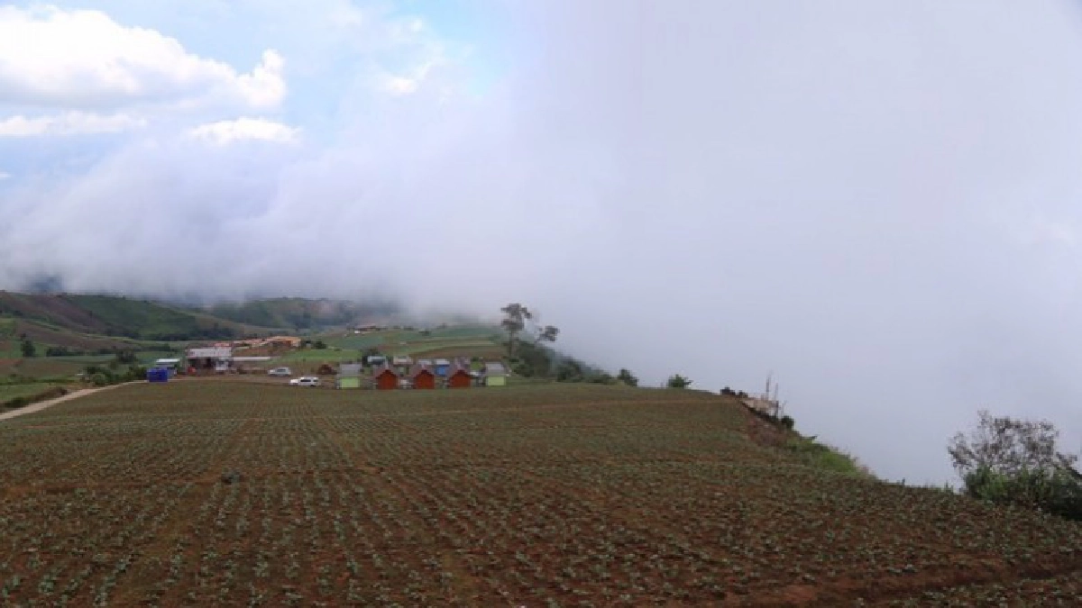 ทุ่ม 30 ล้าน! ผุด 'ทับเบิกโมเดล' แก้เขาหัวโล้น