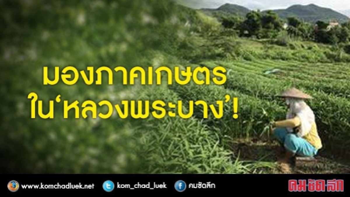 ภาคเกษตรไทยได้อะไรจากกลุ่ม"ซีแอลเอ็มวี"ตอน12 ภาคเกษตรไทยได้อะไรจากกลุ่ม"ซีแอลเอ็มวี"ตอน12