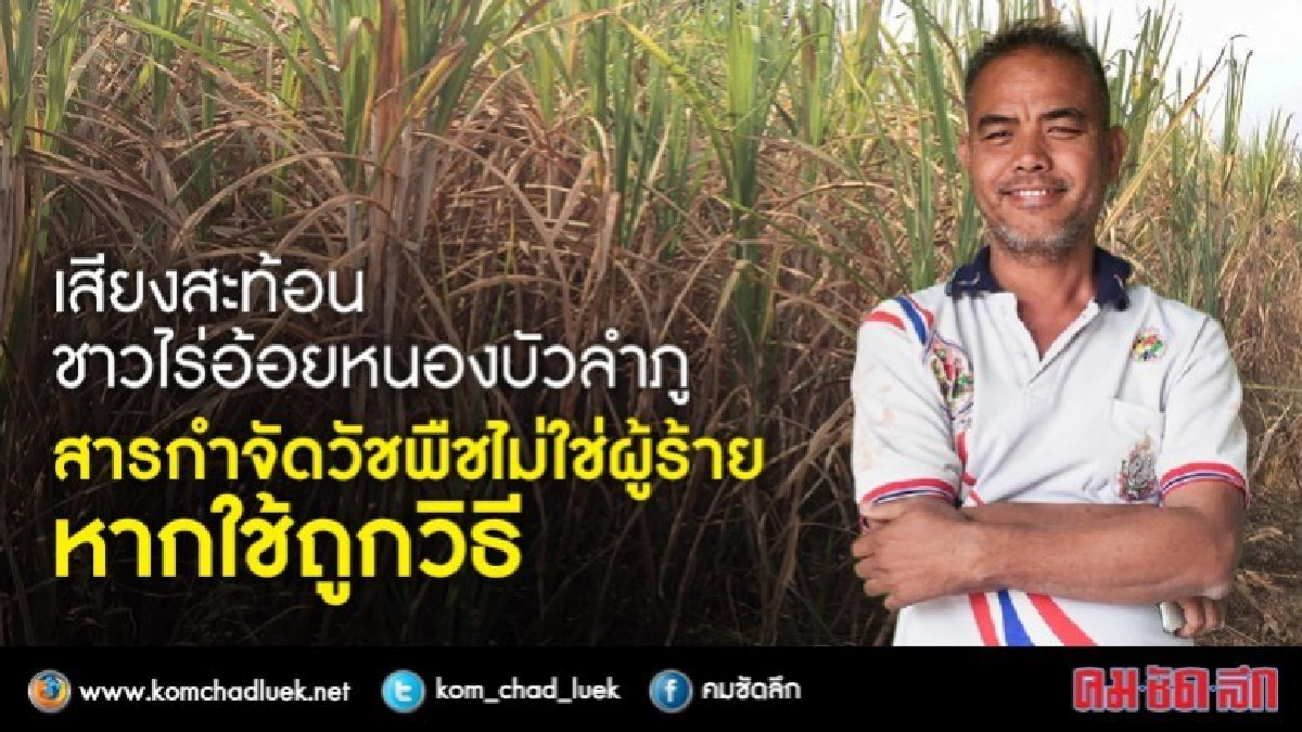 สารกำจัดวัชพืชไม่ใช่ผู้ร้าย ! หากใช้ถูกวิธี สารกำจัดวัชพืชไม่ใช่ผู้ร้าย ! หากใช้ถูกวิธี