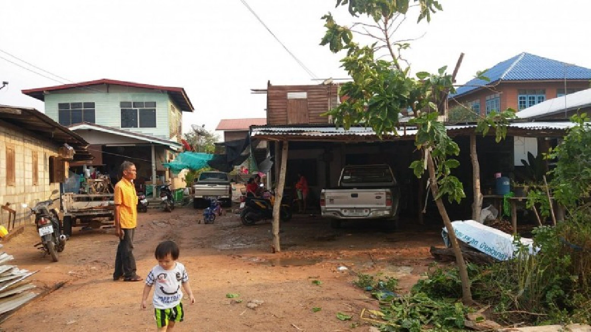 ลมพัดกรรโชกแรงในเขต ทน.อุดรฯต้นมะกอกล้มพาดสายไฟ ลมพัดกรรโชกแรงในเขต ทน.อุดรฯต้นมะกอกล้มพาดสายไฟ