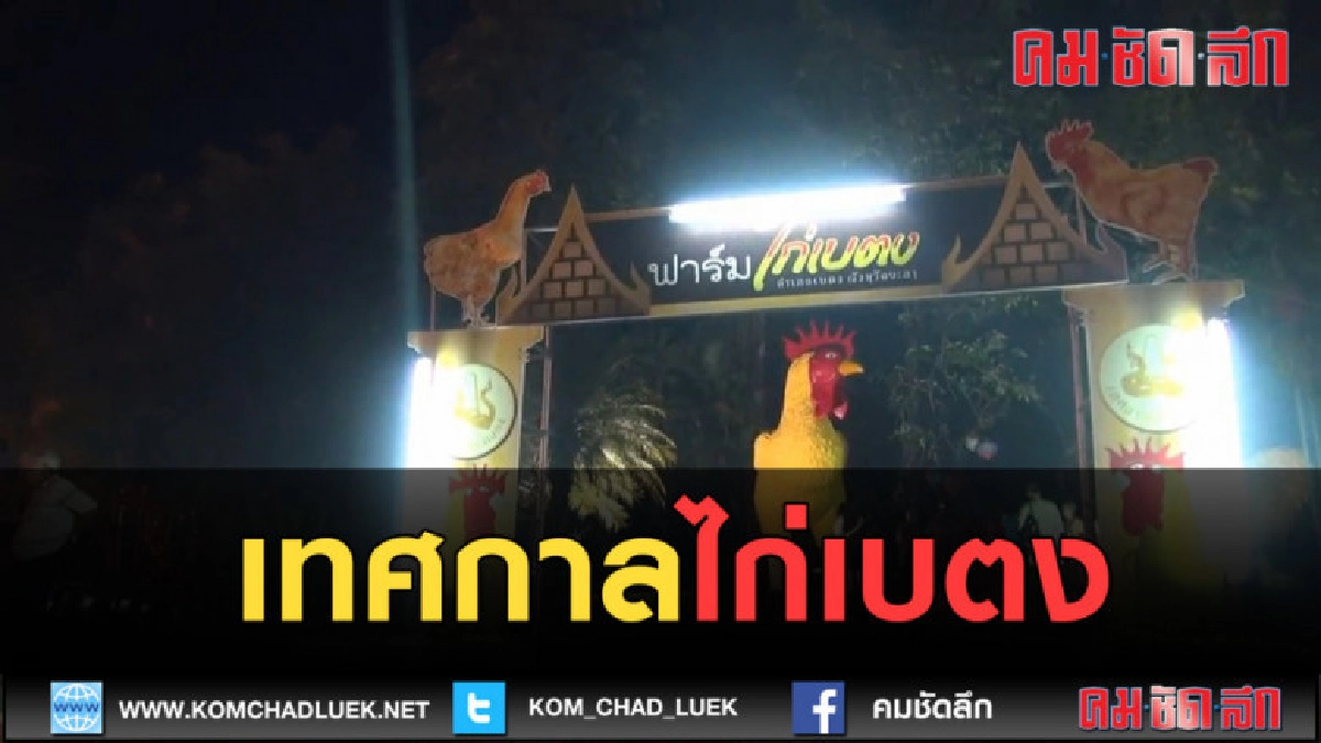 (คลิปข่าว) งานเทศกาลไก่เบตง