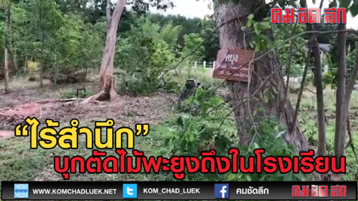 (คลิปข่าว) ไร้สำนึก บุกตัดไม้พะยูงถึงในโรงเรียน (คลิปข่าว) ไร้สำนึก บุกตัดไม้พะยูงถึงในโรงเรียน