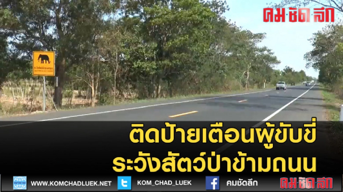 (คลิปข่าว)ติดป้ายเตือนผู้ใช้ระวังสัตว์ป่าข้ามถนนช่วงสงกรานต์