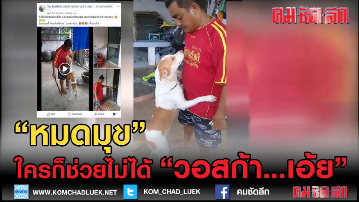 (คลิปข่าว) ทำหนูลงหรอ? ...พ่อจ๋า
