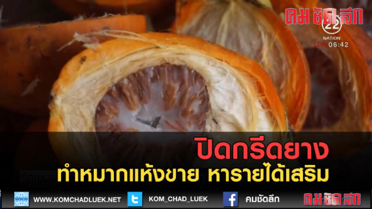(คลิปข่าว) ทำหมากแห้งขาย หารายได้เสริม (คลิปข่าว) ทำหมากแห้งขาย หารายได้เสริม