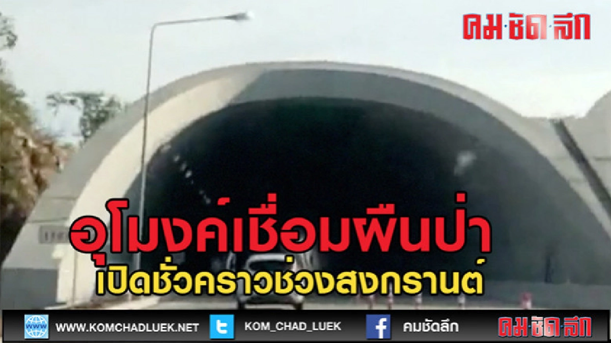 (คลิปข่าว)เปิดแล้วชั่วคราว! "อุโมงค์เชื่อมผืนป่า" (คลิปข่าว)เปิดแล้วชั่วคราว! "อุโมงค์เชื่อมผืนป่า"