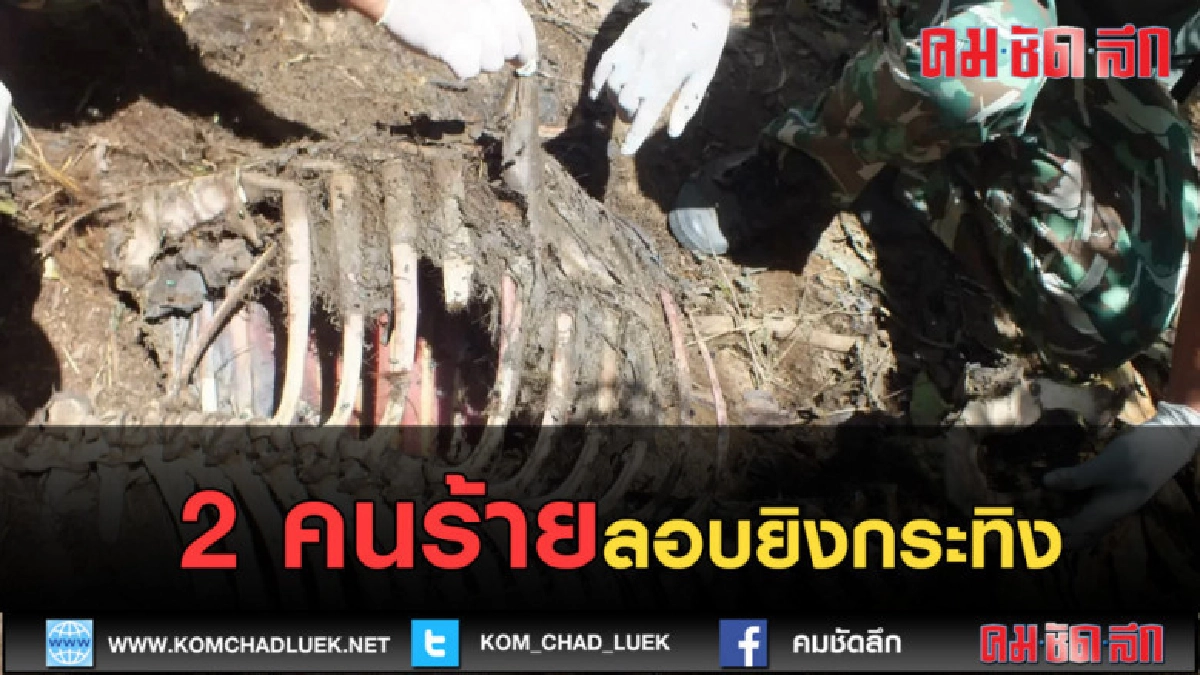 (คลิปข่าว) จับ 2 คนร้ายลอบยิงกระทิง