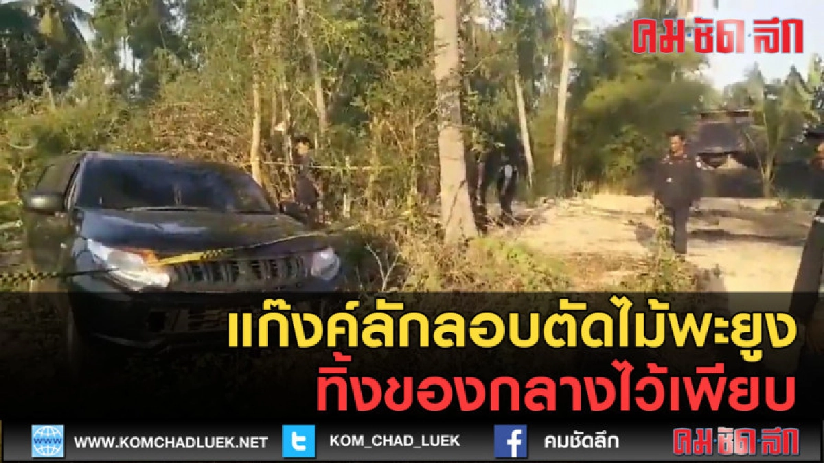 (คลิปข่าว) แก๊งค์ลักลอบตัดไม้พะยูงทิ้งของกลางไว้เพียบ (คลิปข่าว) แก๊งค์ลักลอบตัดไม้พะยูงทิ้งของกลางไว้เพียบ